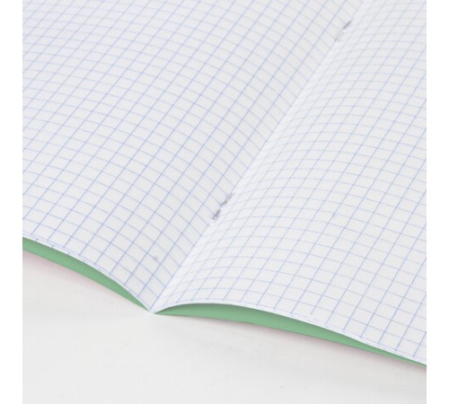 Тетрадь ВЕЛИКИЕ ИМЕНА. Ломоносов М.В., 12 л. клетка, плотная бумага 80 г/м2, обложка тонированный офсет, BRAUBERG, 105712