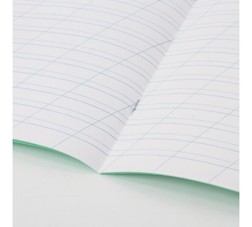 Тетрадь ВЕЛИКИЕ ИМЕНА. Есенин С.А., 12 л. косая линия, плотная бумага 80 г/м2, обложка тонированный офсет, BRAUBERG, 105714