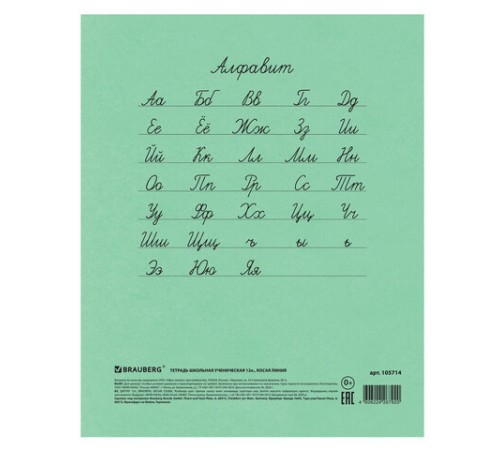Тетрадь ВЕЛИКИЕ ИМЕНА. Есенин С.А., 12 л. косая линия, плотная бумага 80 г/м2, обложка тонированный офсет, BRAUBERG, 105714