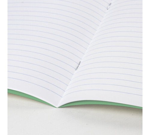 Тетрадь ВЕЛИКИЕ ИМЕНА. Чехов А.П., 12 л. линия, плотная бумага 80 г/м2, обложка тонированный офсет, BRAUBERG, 105716