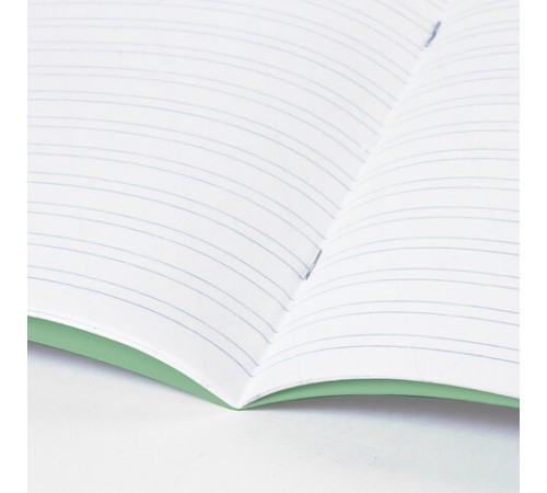 Тетрадь ВЕЛИКИЕ ИМЕНА. Крылов И.А., 12 л. узкая линия, плотная бумага 80 г/м2, обложка тонированный офсет, BRAUBERG, 105717