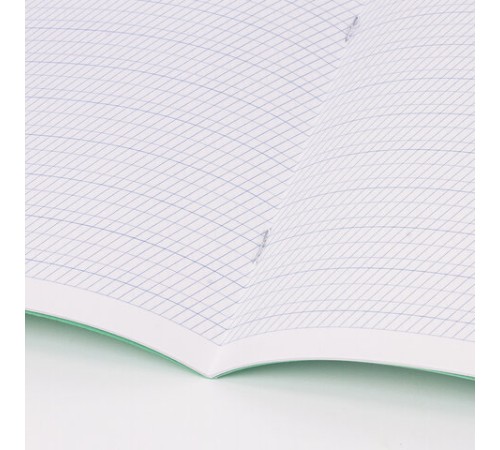 Тетрадь ВЕЛИКИЕ ИМЕНА. Пушкин А.С., 12л. частая косая С ДОПОЛНИТЕЛЬНОЙ ГОРИЗОНТАЛЬНОЙ, плотная бумага 80г/м, обложка офсет, BRAUBERG, 105718