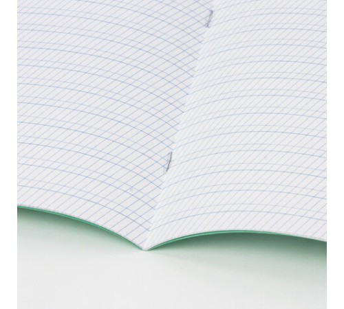 Тетрадь ВЕЛИКИЕ ИМЕНА. Толстой Л.Н., 12 л. частая косая линия, плотная бумага 80 г/м2, обложка тонированный офсет, BRAUBERG, 105719