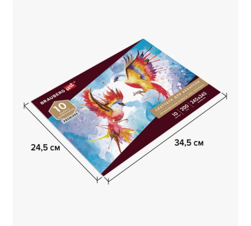 Альбом для акварели, бумага ИТАЛИЯ 200 г/м2 25% хлопок 245х345 мм, 10 л., BRAUBERG ART PREMIERE, 105911