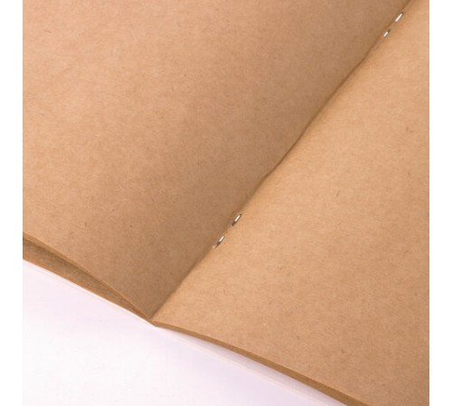 Альбом для рисования, крафт-бумага 70 г/м2, 205х195 мм, 40 л., на скобе, BRAUBERG ART CLASSIC, 105914