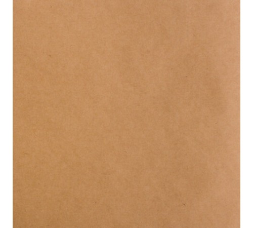 Альбом для рисования, крафт-бумага 70 г/м2, 205х195 мм, 40 л., на скобе, BRAUBERG ART CLASSIC, 105914