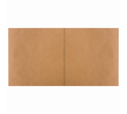 Альбом для рисования, крафт-бумага 70 г/м2, 205х195 мм, 40 л., на скобе, BRAUBERG ART CLASSIC, 105914