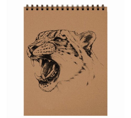 Альбом для рисования, крафт-бумага 140 г/м2, 147х205 мм, 30 л., спираль, BRAUBERG ART CLASSIC, 105915