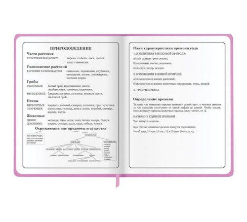Дневник 1-4 класс 48 л., кожзам (твердая с поролоном), печать, аппликация, ЮНЛАНДИЯ, 