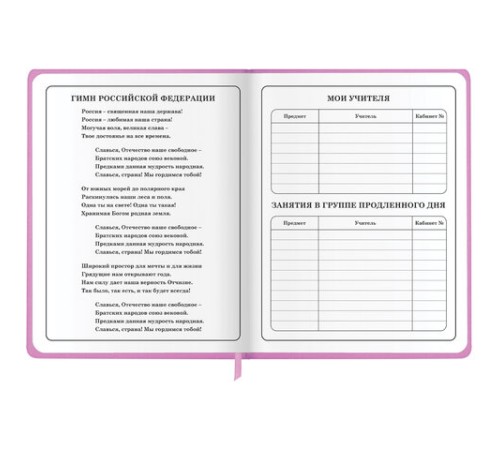 Дневник 1-4 класс 48 л., кожзам (твердая с поролоном), печать, аппликация, ЮНЛАНДИЯ, 