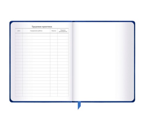 Дневник 1-11 класс 48 л., кожзам (твердая), термотиснение, BRAUBERG 