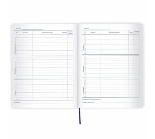 Дневник 1-11 класс 48 л., кожзам (гибкая), термотиснение, фольга, BRAUBERG, 