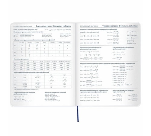 Дневник 1-11 класс 48 л., кожзам (гибкая), термотиснение, фольга, BRAUBERG, 