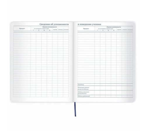 Дневник 1-11 класс 48 л., кожзам (гибкая), термотиснение, фольга, BRAUBERG, 