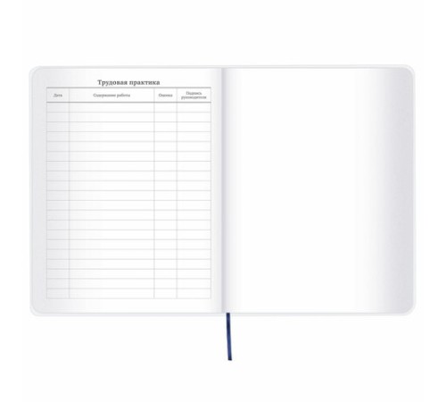 Дневник 1-11 класс 48 л., кожзам (гибкая), термотиснение, фольга, BRAUBERG, 