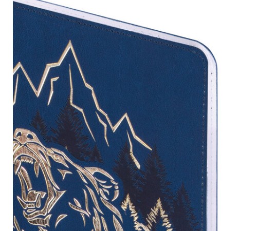 Дневник 1-11 класс 48 л., кожзам (гибкая), термотиснение, фольга, BRAUBERG, 