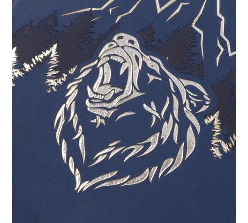 Дневник 1-11 класс 48 л., кожзам (гибкая), термотиснение, фольга, BRAUBERG, 