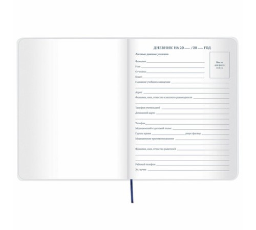 Дневник 1-11 класс 48 л., кожзам (гибкая), термотиснение, фольга, BRAUBERG, 