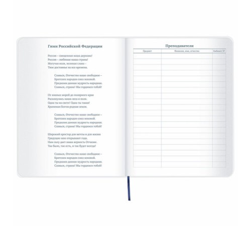 Дневник 1-11 класс 48 л., кожзам (гибкая), термотиснение, фольга, BRAUBERG, 