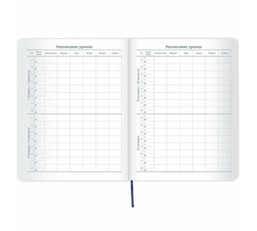 Дневник 1-11 класс 48 л., кожзам (гибкая), термотиснение, фольга, BRAUBERG, 