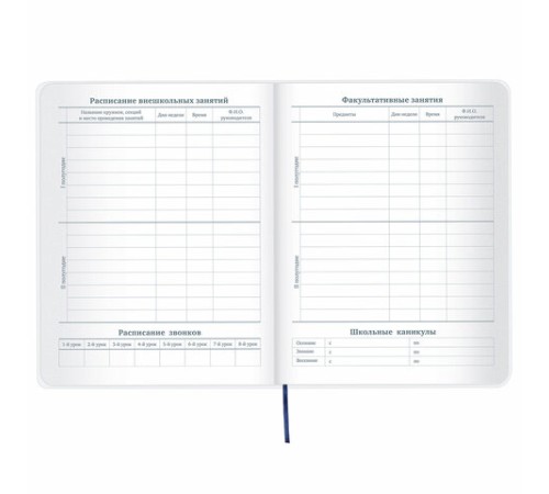 Дневник 1-11 класс 48 л., кожзам (гибкая), термотиснение, фольга, BRAUBERG, 