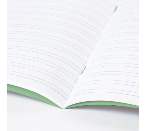 Тетрадь ЗЕЛЁНАЯ обложка 12 л., узкая линия с полями, офсет, 