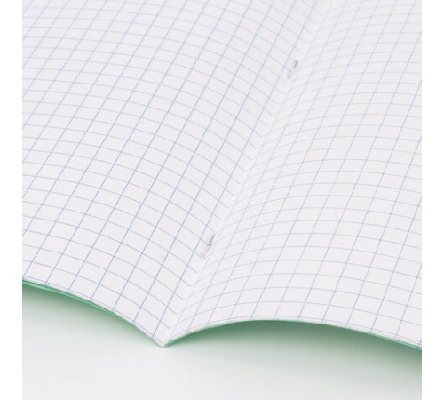 Тетрадь ЗЕЛЁНАЯ обложка 12 л., крупная клетка с полями, офсет, 
