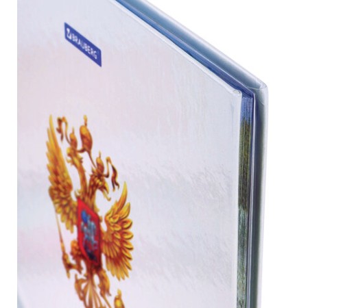 Дневник 1-11 класс 40 л., твердый, BRAUBERG, ламинация, цветная печать, РОССИЙСКОГО ШКОЛЬНИКА-4, 106052