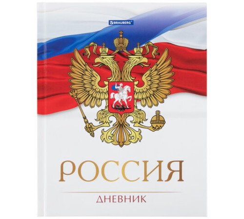 Дневник 5-11 класс 48 л., твердый, BRAUBERG, глянцевая ламинация, с подсказом, 