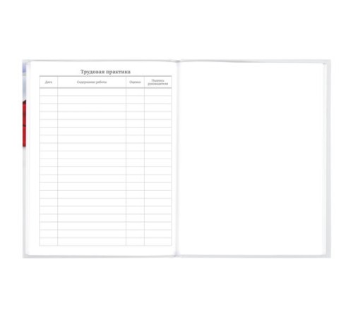 Дневник 5-11 класс 48 л., твердый, BRAUBERG, глянцевая ламинация, с подсказом, 