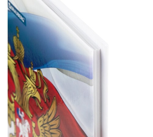 Дневник 5-11 класс 48 л., твердый, BRAUBERG, глянцевая ламинация, с подсказом, 