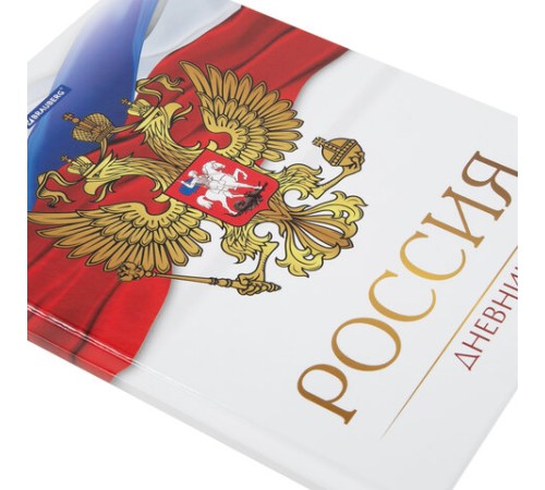 Дневник 5-11 класс 48 л., твердый, BRAUBERG, глянцевая ламинация, с подсказом, 