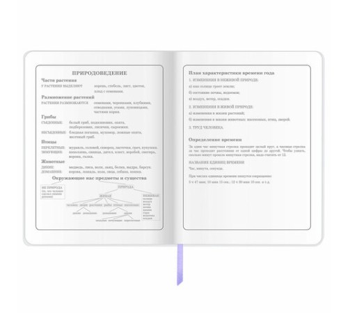 Дневник 1-4 класс 48 л., кожзам (гибкая), печать, фольга, ЮНЛАНДИЯ, 