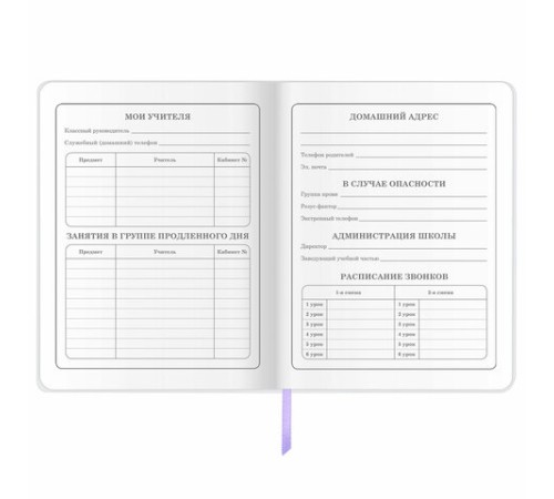 Дневник 1-4 класс 48 л., кожзам (гибкая), печать, фольга, ЮНЛАНДИЯ, 