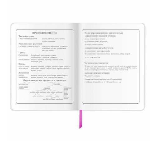 Дневник 1-4 класс 48 л., кожзам (гибкая), печать, фольга, ЮНЛАНДИЯ, 