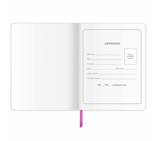 Дневник 1-4 класс 48 л., кожзам (гибкая), печать, фольга, ЮНЛАНДИЯ, 