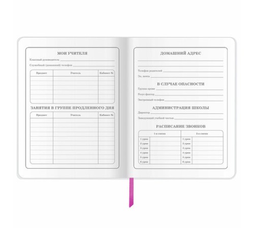 Дневник 1-4 класс 48 л., кожзам (гибкая), печать, фольга, ЮНЛАНДИЯ, 