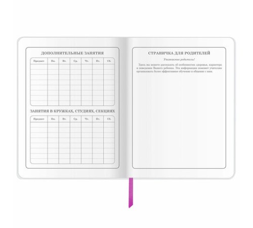 Дневник 1-4 класс 48 л., кожзам (гибкая), печать, фольга, ЮНЛАНДИЯ, 