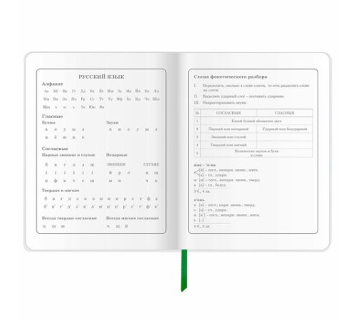 Дневник 1-4 класс 48 л., кожзам (гибкая), печать, фольга, ЮНЛАНДИЯ, 