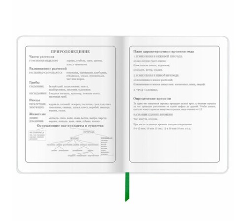 Дневник 1-4 класс 48 л., кожзам (гибкая), печать, фольга, ЮНЛАНДИЯ, 