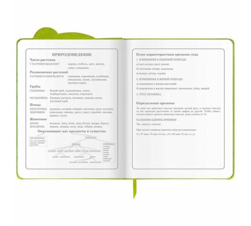 Дневник 1-4 класс 48 л., кожзам (твердая с поролоном), фигурный край, фольга, ЮНЛАНДИЯ, 