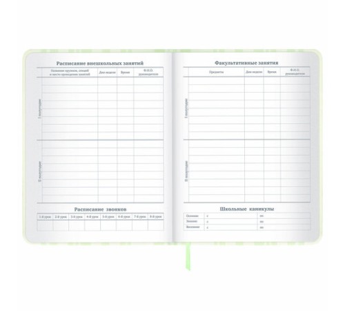 Дневник 1-11 класс 48 л., кожзам (твердая с поролоном), печать, наклейки, BRAUBERG, 