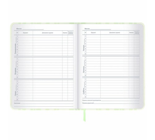 Дневник 1-11 класс 48 л., кожзам (твердая с поролоном), печать, наклейки, BRAUBERG, 