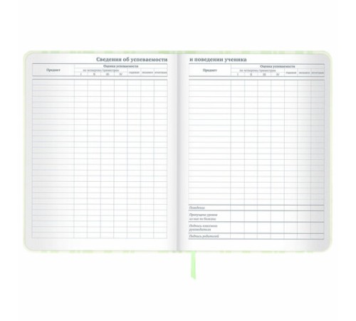 Дневник 1-11 класс 48 л., кожзам (твердая с поролоном), печать, наклейки, BRAUBERG, 