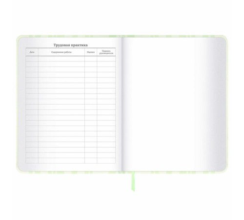 Дневник 1-11 класс 48 л., кожзам (твердая с поролоном), печать, наклейки, BRAUBERG, 