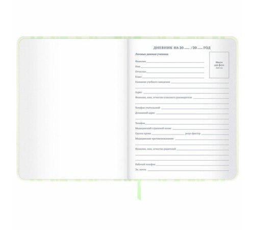 Дневник 1-11 класс 48 л., кожзам (твердая с поролоном), печать, наклейки, BRAUBERG, 