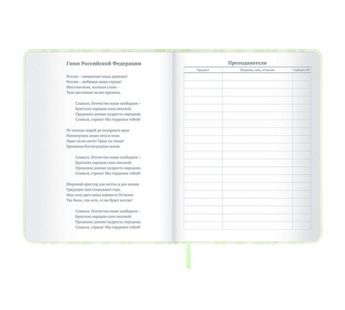 Дневник 1-11 класс 48 л., кожзам (твердая с поролоном), печать, наклейки, BRAUBERG, 