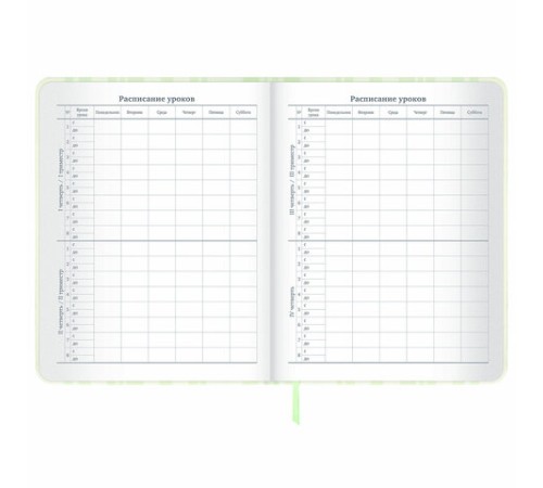 Дневник 1-11 класс 48 л., кожзам (твердая с поролоном), печать, наклейки, BRAUBERG, 