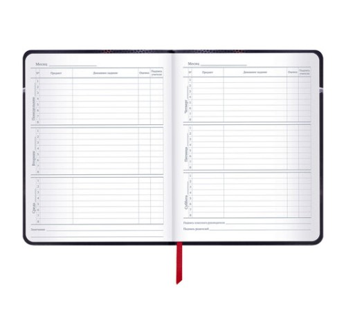 Дневник 1-11 класс 48 л., кожзам (твердая с поролоном), печать, наклейки, BRAUBERG, 