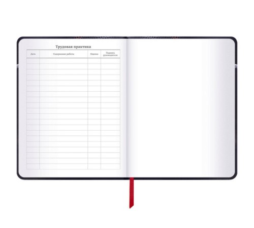 Дневник 1-11 класс 48 л., кожзам (твердая с поролоном), печать, наклейки, BRAUBERG, 